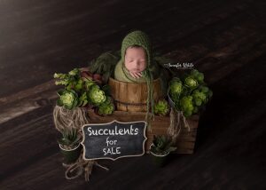 Adelaide based Accredited Professional Photographer Jennifer White Photography Newborn Baby