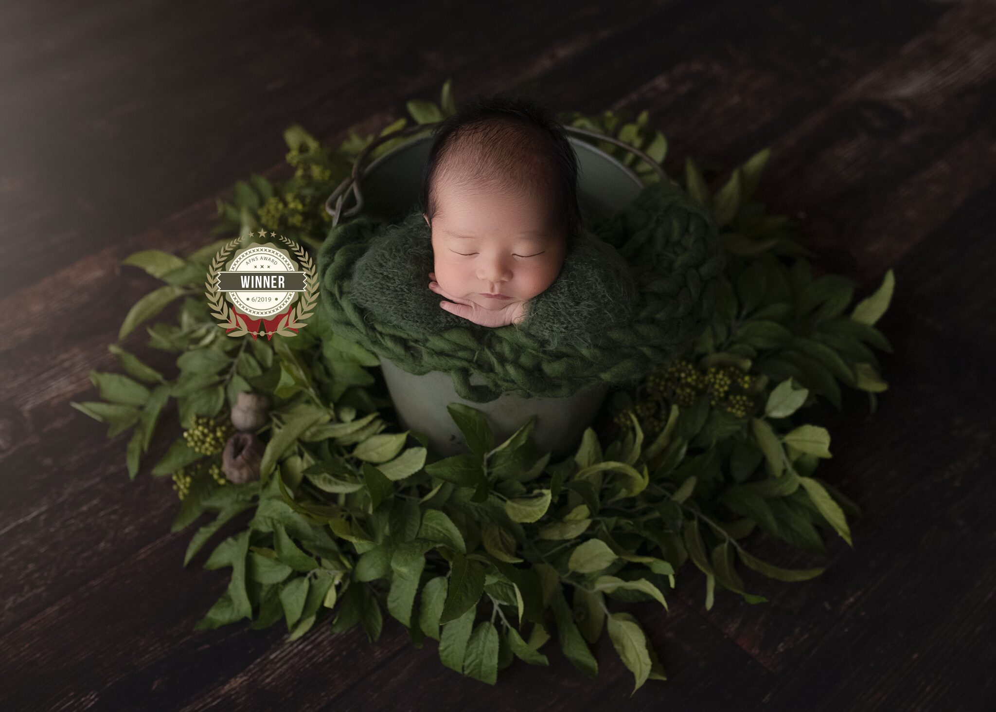 Adelaide based Accredited Professional Photographer Jennifer White Photography Newborn Baby